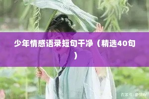 半壁山河的解释