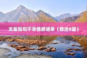 情感文案12秒（通用40句）
