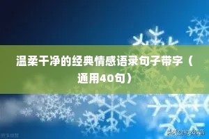 半生半熟的成语解释