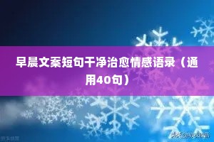 情感文案感悟（精选40句）