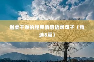 文案和情感（通用40句）