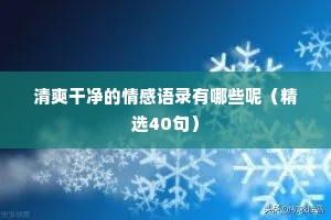 清爽干净的情感语录有哪些呢（精选40句）