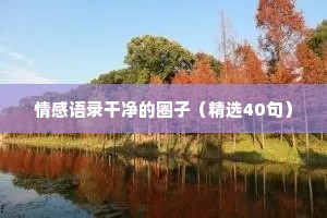 情感文案书句（精选40句）