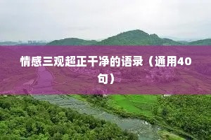 情感三观超正干净的语录（通用40句）