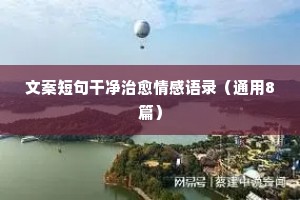 情感文案内涵（通用40句）