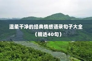 日本情感文案（通用40句）