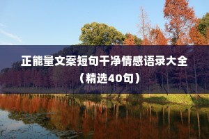 懒猫情感文案（通用8篇）