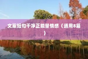 情感大叔文案（精选40句）