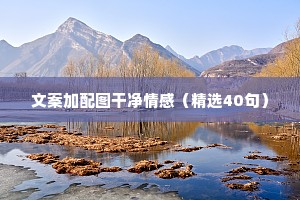 fm文案情感（通用8篇）