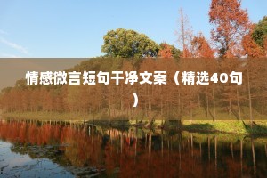 情感微言短句干净文案（精选40句）