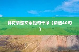 精致情感文案（通用8篇）