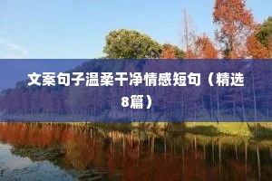 情感文案mv（通用40句）