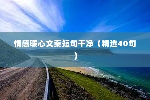 买菜文案情感（通用8篇）