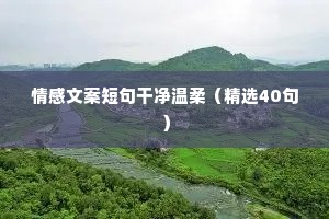 受伤情感文案（通用8篇）