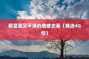 情感应景文案（通用40句）
