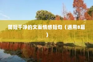简短干净的文案情感短句（通用8篇）