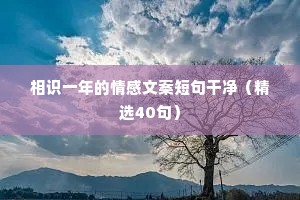 小二情感文案（通用40句）