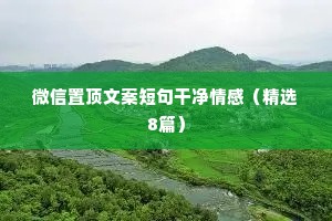 微信置顶文案短句干净情感（精选8篇）