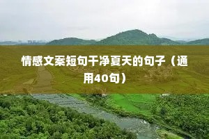 情感类文案兼职（通用40句）