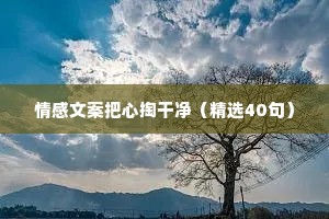 阿洋情感文案（精选8篇）