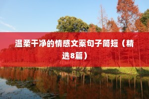 因果情感文案（精选8篇）