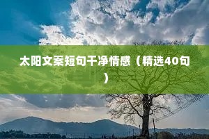文案情感网站（通用40句）