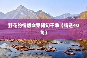 野花的情感文案短句干净（精选40句）