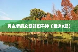 男女情感文案短句干净（精选8篇）