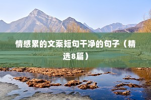 秋深气愈厉，孤雁正南翔。下一句是什么？
