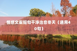 情感文案短句干净治愈冬天（通用40句）