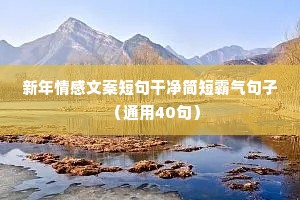 小w情感文案（通用40句）