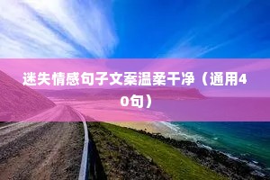 北道主人的释义