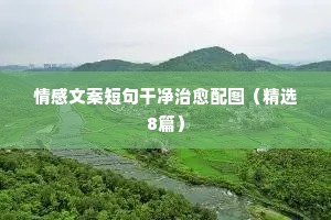 情感文案短句干净治愈配图（精选8篇）