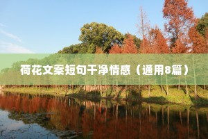 迟来的醒悟和道歉来得太晚，就让离别教会你什么是悔改和珍惜