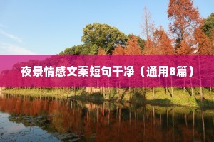 夜景情感文案短句干净（通用8篇）