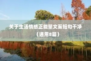 背暗投明的解释