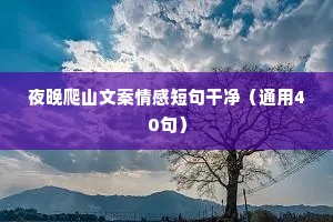 时光茌苒，一年将尽，所谓人生，不过是一路遇见，一路再见