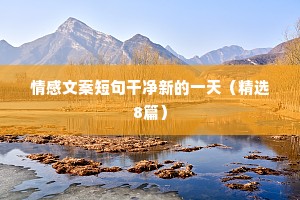 乐雅情感文案（精选40句）