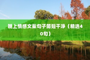 晚上情感文案句子简短干净（精选40句）