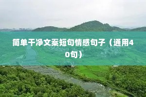 情感文案遗憾（通用40句）