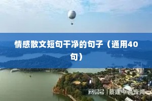 语录大全 情感（通用40句）