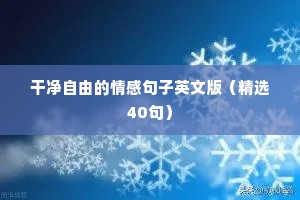一禅小和尚情感语录（精选8篇）