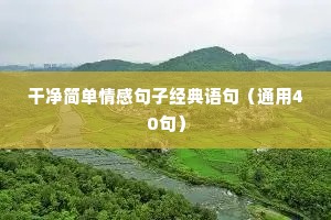 99情感语录（通用8篇）