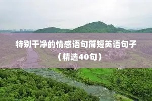 长篇情感语录（通用40句）