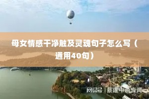 唯美情感语录（通用40句）
