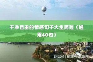 最近很火的情感语录（通用8篇）