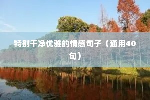 正能量情感语录经典短句（精选8篇）