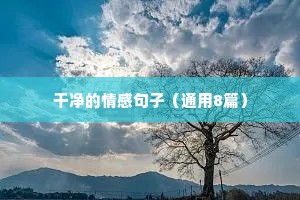 个人情感语录（精选40句）