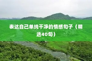 情感语录 短句（通用8篇）