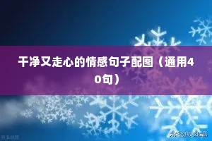 励志情感语录经典短句（精选40句）